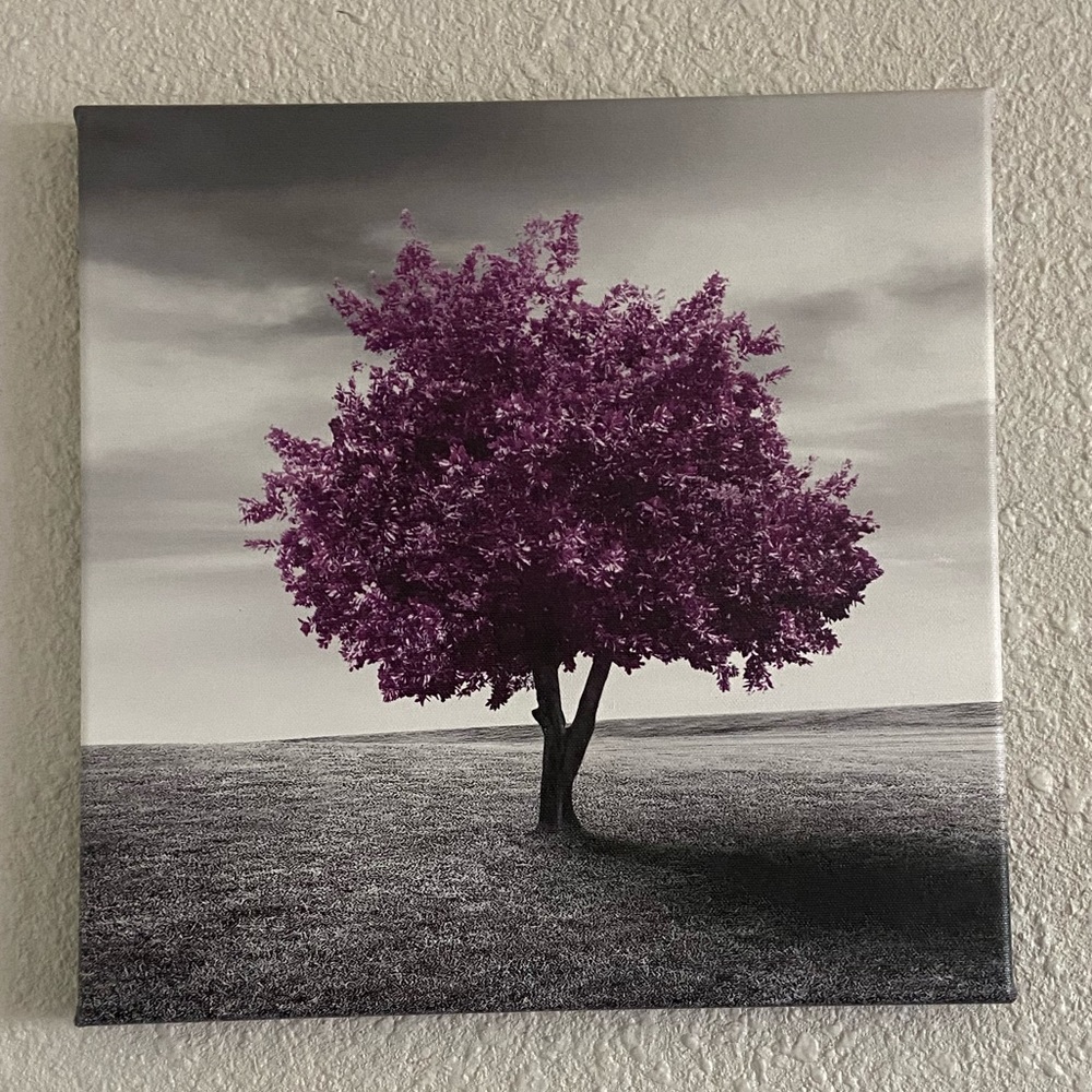 Set of three printed wall art
